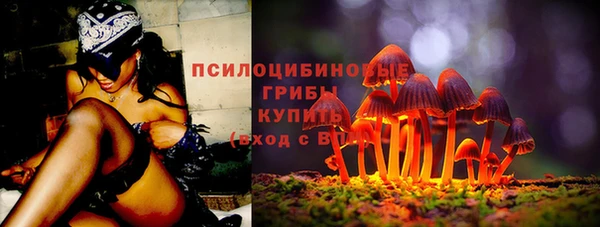 mdpv Беломорск