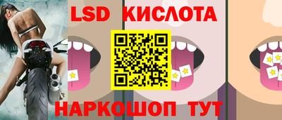 шишки Новокубанск
