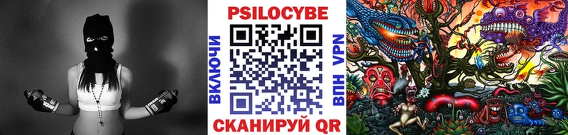 хочу наркоту  Свободный  Галлюциногенные грибы Cubensis 