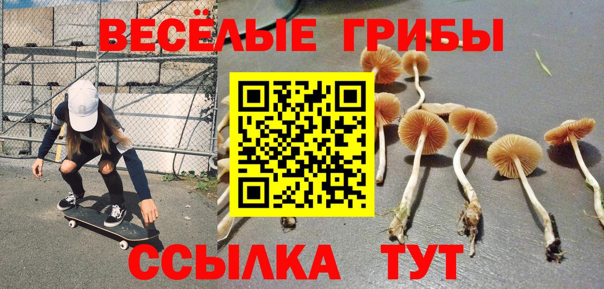 Псилоцибиновые грибы прущие грибы  Вход с VPN  Свободный 